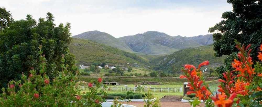 Assegaaibosch Country Lodge Kareedouw Extérieur photo